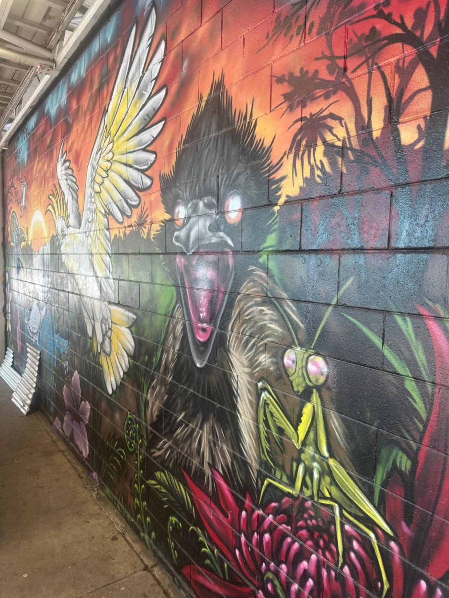 Habitat Backpackers Hostel Brisbane Luaran gambar